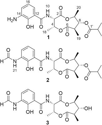 Discovery of Antimycin-Type Depsipeptides from a wbl Gene Mutant Strain of Deepsea-Derived Streptomyces somaliensis SCSIO ZH66 and Their Effects on Pro-inflammatory Cytokine Production